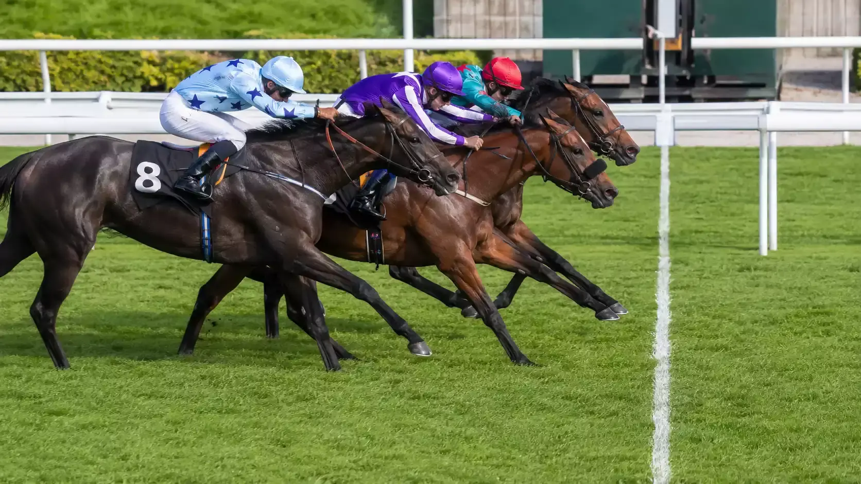 A photo finish at a UK racecourse showing the first three horses crossing the line in close order